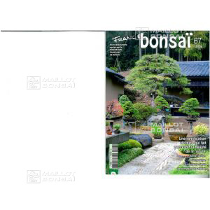 epuisefrance-bonsai-n-67