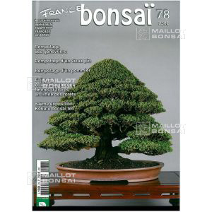 vendufrance-bonsai-n-78