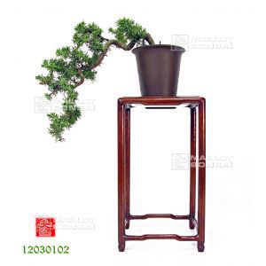 vendujuniperus-rigida-ref-12030102