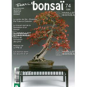 epuisefrance-bonsai-n-74