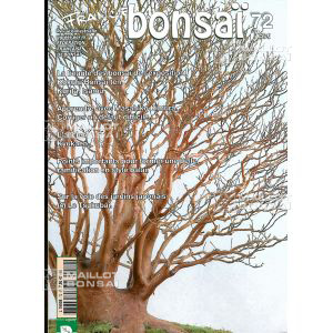 epuisefrance-bonsai-n-72