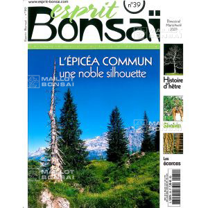 epuiseesprit-bonsai-n-39