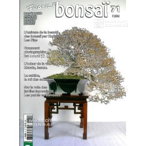 vendufrance-bonsai-n-71
