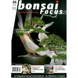 bonsai-europe-bonsai-focus-n-44