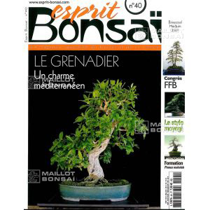 epuiseesprit-bonsai-n-40
