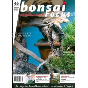 bonsai-europe-bonsai-focus-n-46