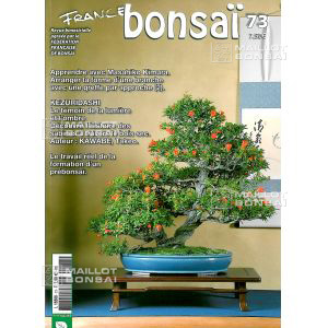 epuisefrance-bonsai-n-73