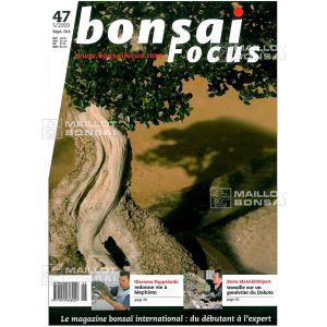 vendu-focus-n-47