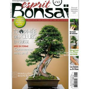 venduesprit-bonsai-n-43