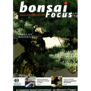 vendu-focus-n-49