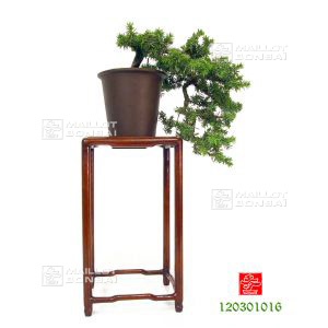 vendujuniperus-rigida-ref-120301016