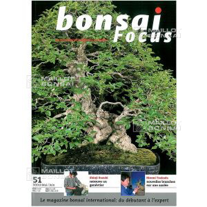 bonsai-focus-n-51