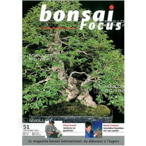 BONSAI FOCUS N° 51