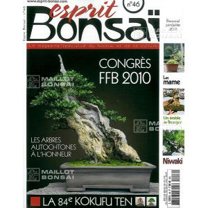 venduesprit-bonsai-n-46