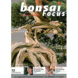 vendu-focus-n-52