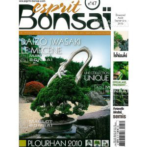 esprit-bonsai-n-47