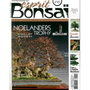 venduesprit-bonsai-n-45