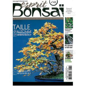 venduesprit-bonsai-n-48