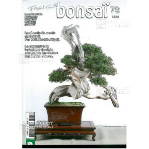 france-bonsai-n-79