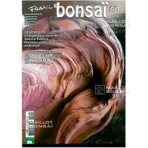 vendufrance-bonsai-n-80