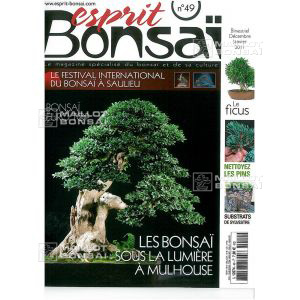 venduesprit-bonsai-n-49