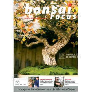 bonsai-focus-n-53