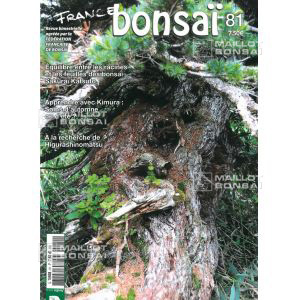 epuisefrance-bonsai-n-81