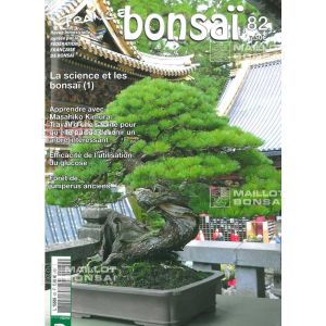 vendufrance-bonsai-n-82
