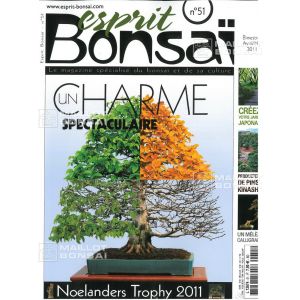 esprit-bonsai-n-51