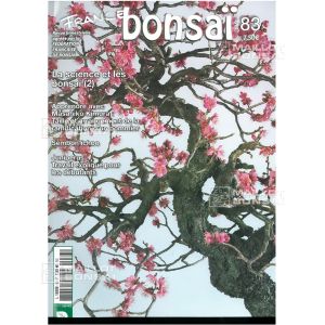 vendufrance-bonsai-n-83