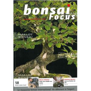 BONSAI FOCUS N° 58