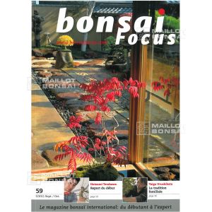 BONSAI FOCUS N° 59