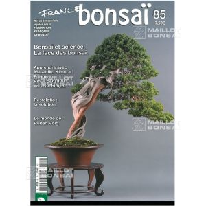 epuisefrance-bonsai-n-85
