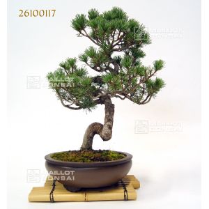 vendupin-a-5-aiguilles-ref-26100117