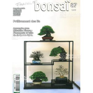 epuisefrance-bonsai-n-87