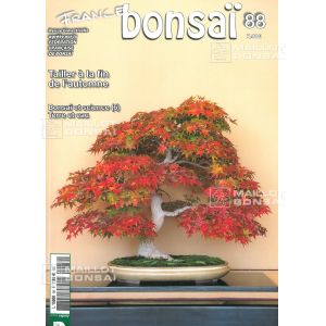 vendufrance-bonsai-n-88