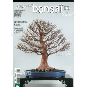 vendufrance-bonsai-n-90