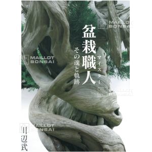 epuisekawabe-bonsai-book