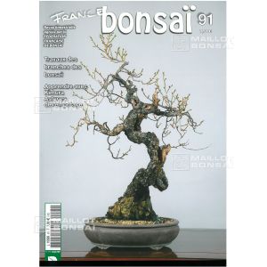 vendu-france-bonsai-n-91