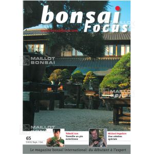 bonsai-focus-n-65