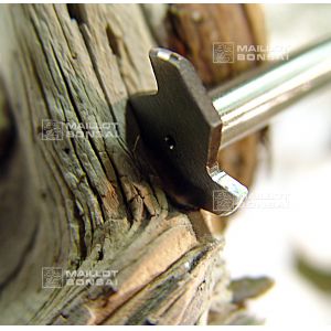 epuise-fraise-a-bois-pour-jin-et-shari-1-mm