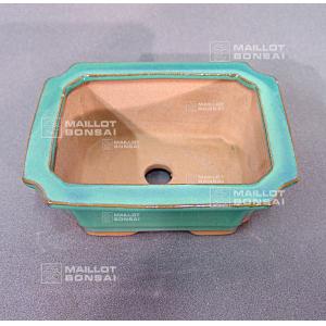 Traditional Oriental mini pot