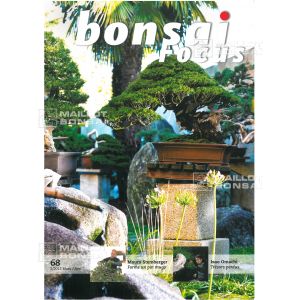 bonsai focus N° 68