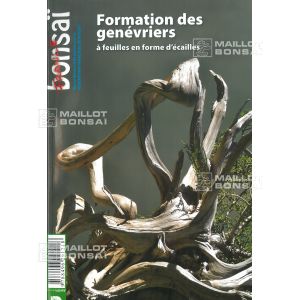 vendufrance-bonsai-n-96-formations-des-genevriers