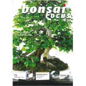 BONSAI FOCUS N° 71