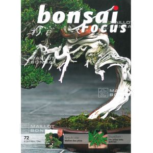 BONSAI FOCUS N° 72