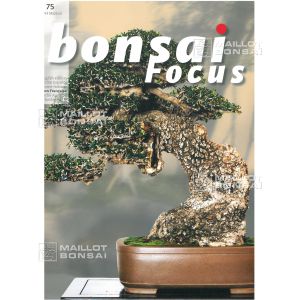 EPUISE BONSAI FOCUS N° 75