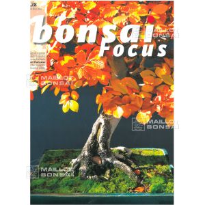 VENDU BONSAI FOCUS N° 78