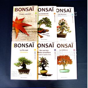 Mini bonsai lot de 6 livres.