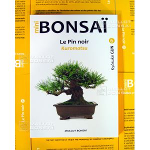 mini-bonsai-japanese-black-pine-handbook-n-6